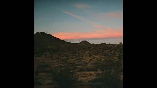 Leif Vollebekk - Tallahassee (Official Audio)