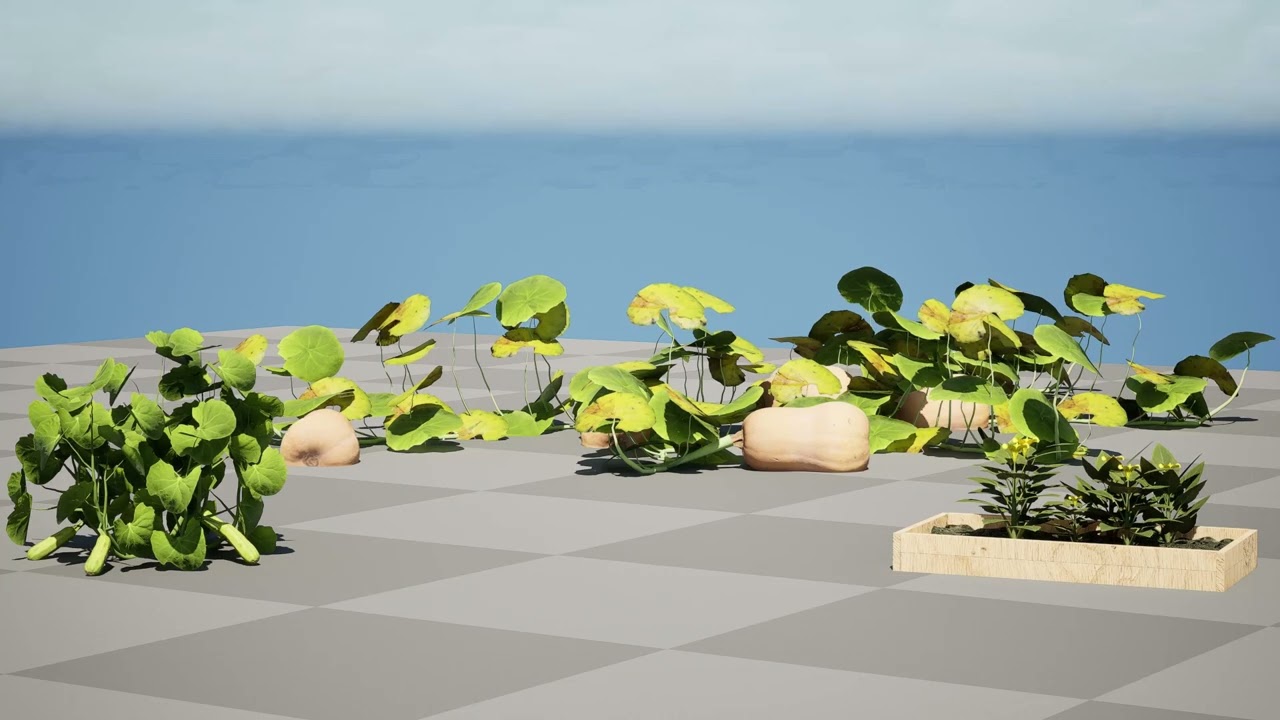 Pakiet roślin dyniowych Model 3D