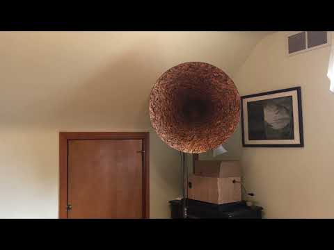 Who Wouldn't Be Blue - Sam Lanin and His Troubadours - 1928