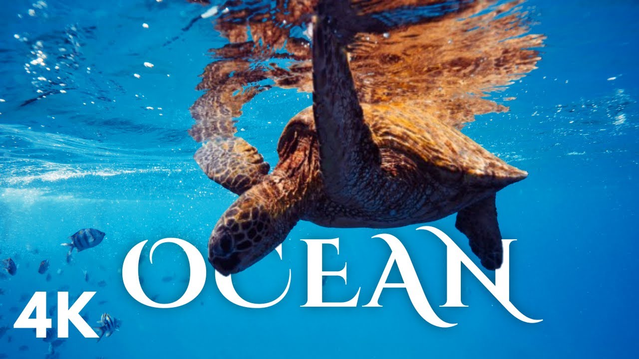 Magical OCEAN Scenery for Stress Relief & Relaxation in 4K