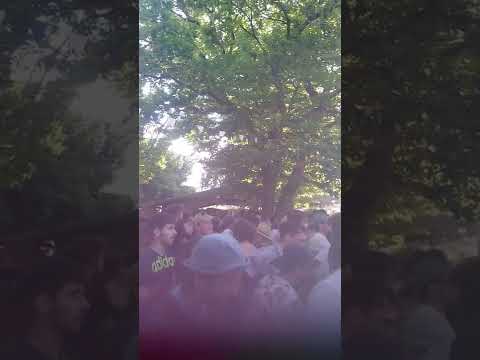 Protect the Dub : 15/05/2022 : Kanka last tune