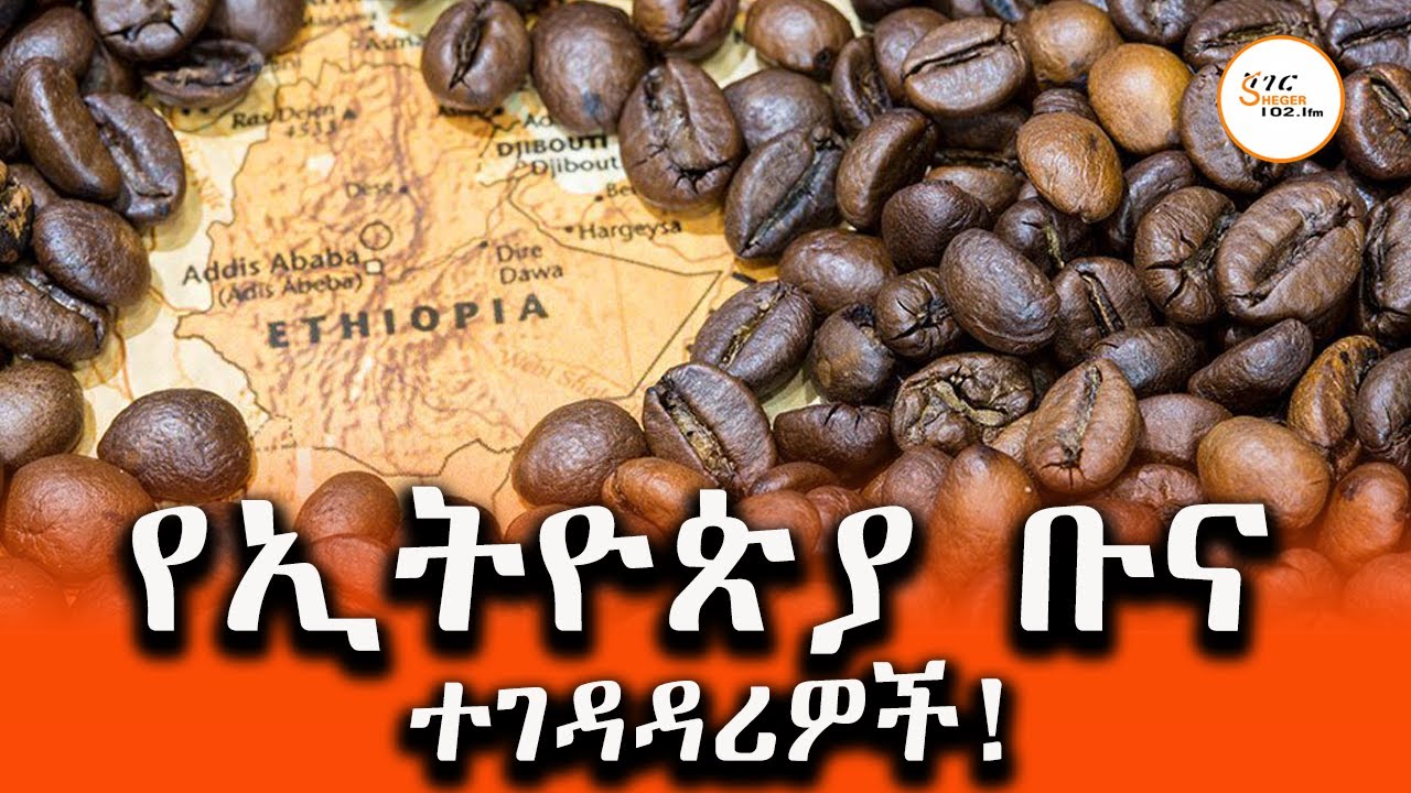 የኢትዮጵያ ቡና ተገዳዳሪዎች!