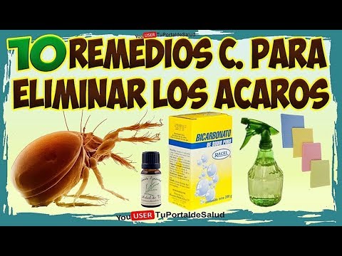 , title : '10 Remedios Caseros para Eliminar los Ácaros - Elimina los Ácaros de tu Cama Rápidamente'