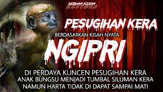 Download lagu NGIPRI - DI PERDAYA KUNCEN PESUGIHAN KERA ANAK BUNGSU MENJADI TUMBAL mp3