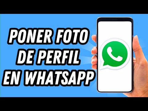 How to set a profile picture on WhatsApp in 2025 (COMPLETE GUIDE)