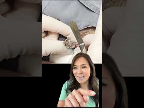 Here's one of my most popular videos - the 007 DPOW!