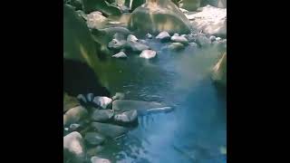 Download lagu Asep Darso Pilemburan mp3 Download lagu Asep Darso Pilemburan mp3
