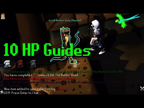 UIM, HCIM, & Iron 10 HP Guide #46 - Iron level-3 Hunter Rumours Guide