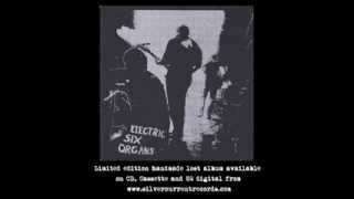 Six Organs Of Admittance - 1000 Birds - Electric Six Organs Lost Album