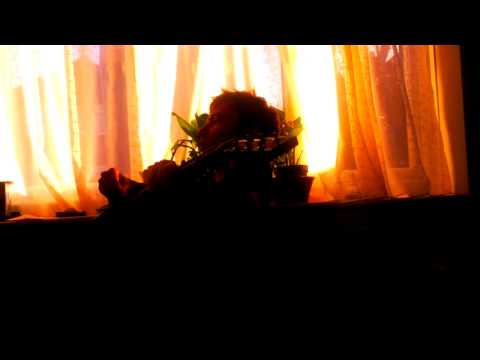 Sam Kramer - Bonnie Beecher Re-Dux