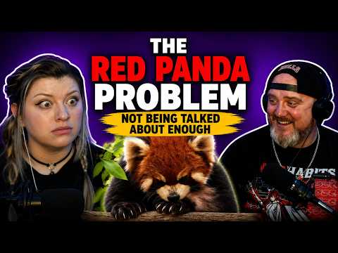 WE HAD NO IDEA! The Red Panda Problem | Casual Geographic Reaction