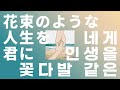 펜트하우스(ペントハウス, Penthouse) - 꽃다발 같은 인생을 네게(花束のような人生を君に, Bouquet) [가사/발음/번역/해석]