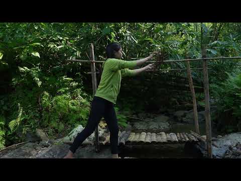 FULL 3 DAY SOLO SURVIVAL IN THE RAIN FOREST - RELAXING IN THE SHELTER WITH THE SATISFYING SOUND