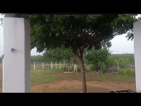 É chuva boa no Sertão do Rio Grande do Norte!