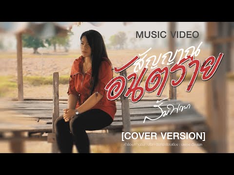 สัญญาณอันตราย - ส้ม พฤกษา【Cover Version】