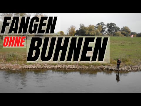 Flusszander auch ohne Buhnen fangen!