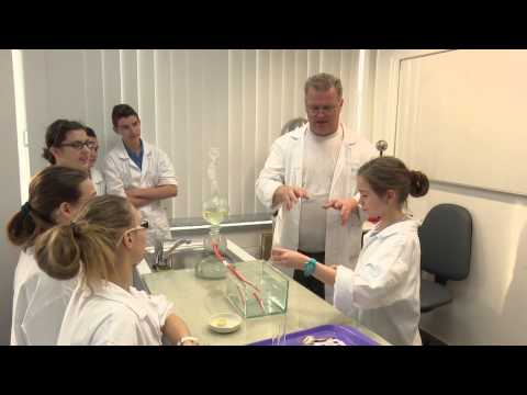 JTV Híradó 2015/02 - 2015.01.11.