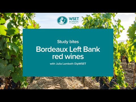 Study bites: Bordeaux Left Bank red wine (WSET Level 3 wine)