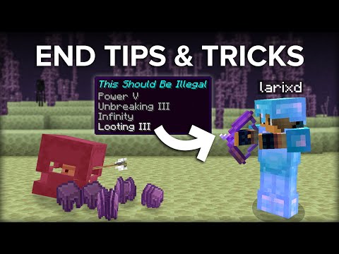 10+ Minecraft End Dimension Tips and Tricks