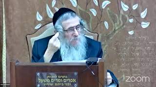 הרה"ג הרב וועכטר שליט"א ט"ז שבט תשפ"ד - מאמר הרבי ד"ה ארבע ראשי שנים תשל"א חלק ד (הרב אברהם מנחם מענדל וכטר) - התמונה מוצגת ישירות מתוך אתר האינטרנט יוטיוב. זכויות היוצרים בתמונה שייכות ליוצרה. קישור קרדיט למקור התוכן נמצא בתוך דף הסרטון