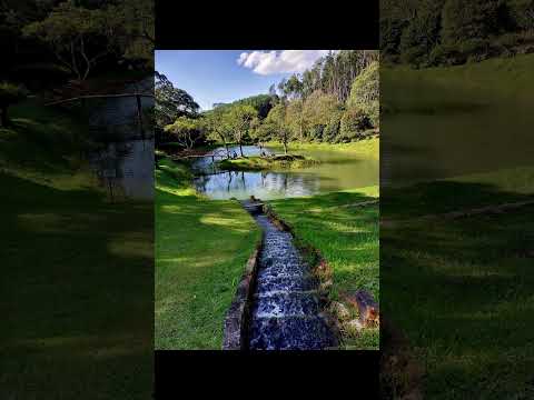 Floresta Nacional  ... Passa Quatro MG