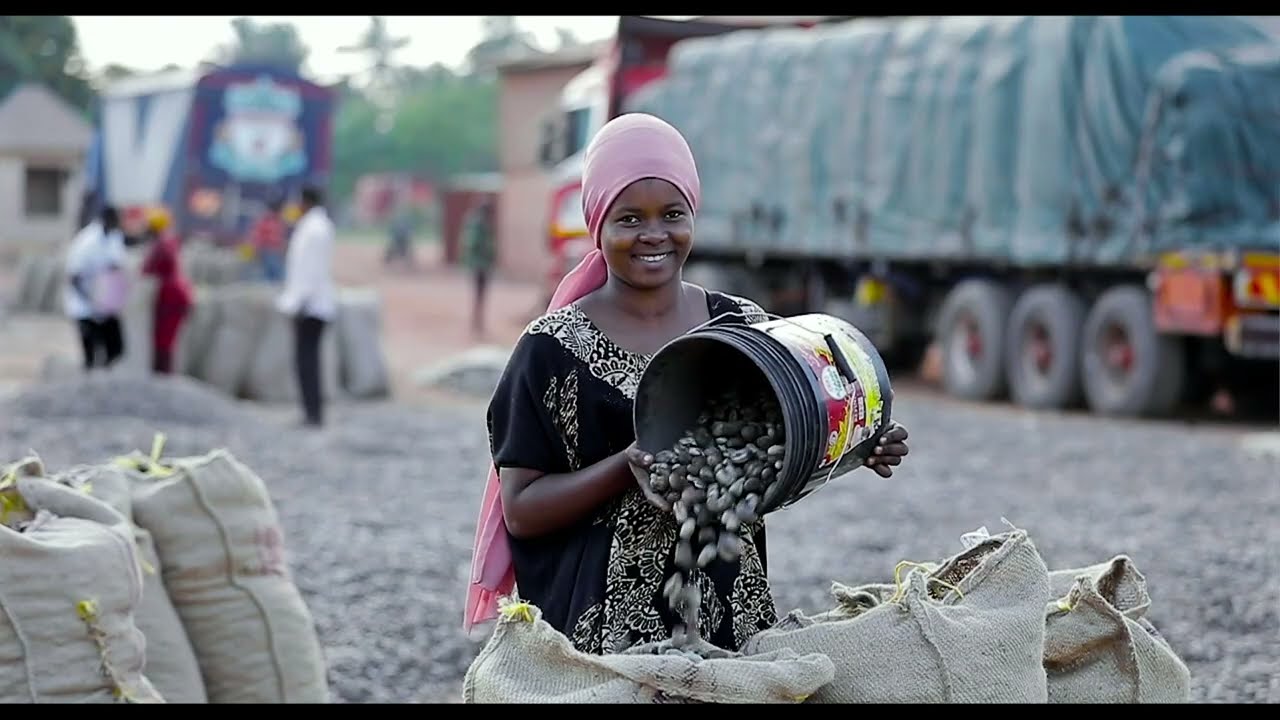 TMX Documentary on Cashew Nuts Trade Season 2024/2025