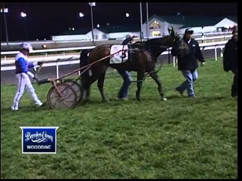 2012 Breeders Crown Three-Year-Old Colt Trot