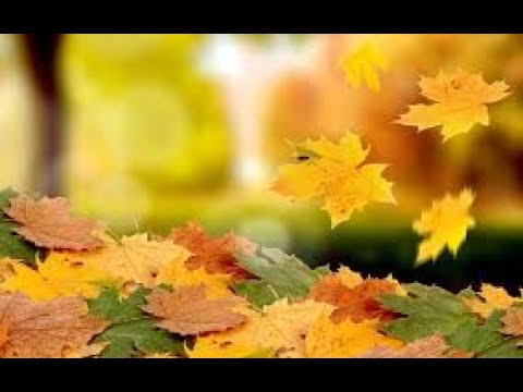 "Falling Leaves" - a lyrical portrayal of Autumn (concert performance by Horace Lazzari-1987)
