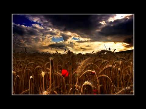 Realiteti i  Lumturisë Ligjerata e Plotë Enis Rama