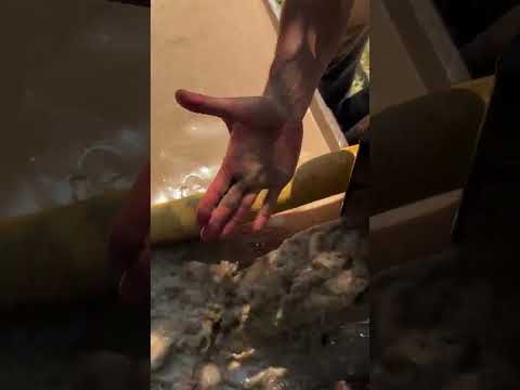 Trabajo en Vicente López, Buenos Aires. 📍