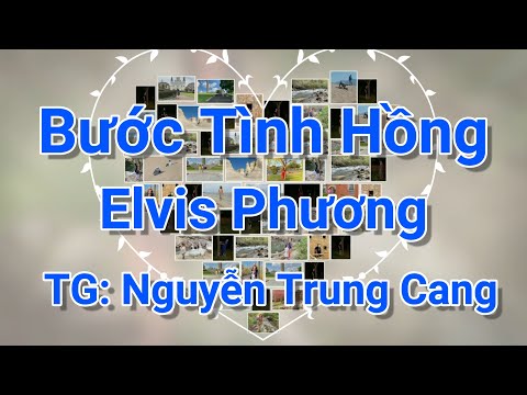 Bước tình hồng Sheet - Elvis Phương
