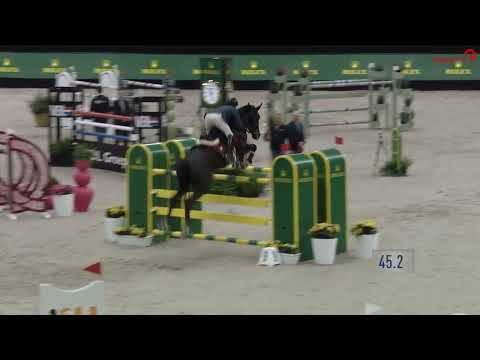 Video Vorschau von Chadino