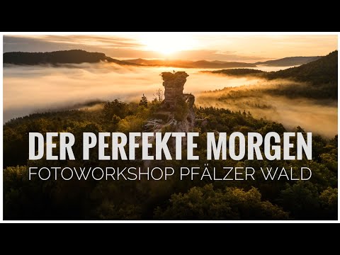 Landschaftsfotografie im Pfälzer Wald (Fotoworkshop mit KASE Filtern)
