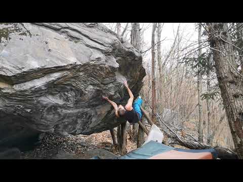 "THE PIANIST" 8A (Grono)