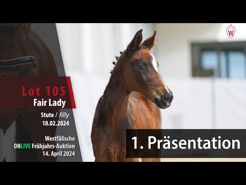 Frühjahrs-Auktion Fohlenpräsentation Lot 105 Fair Lady Stute v. Follow Up - Johnson
