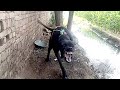 Angry Dog Sound Angry Dog Barking