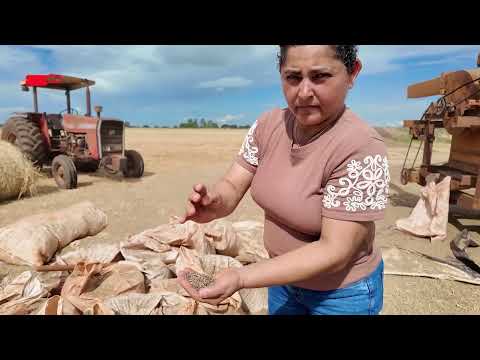 Que diferença faz ter terra legalizada? Conheça a realidade em Presidente Bernardes/SP