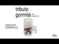 Tributo Gormita Non Resisto Più Videoclip Ufficiale