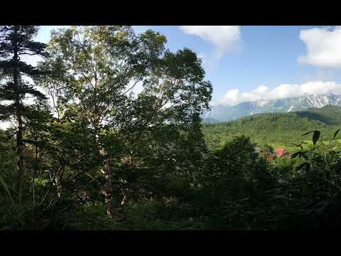 Saga de l’été: le voyage de Liloo S4