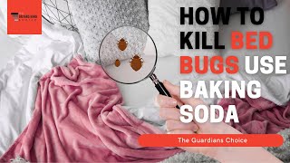 How to Kill Bed Bugs Using Baking Soda | The Guardians Choice