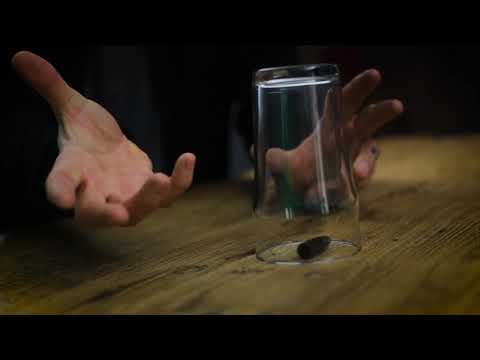 Captive by Jimmy Strange and Merchant of Magic