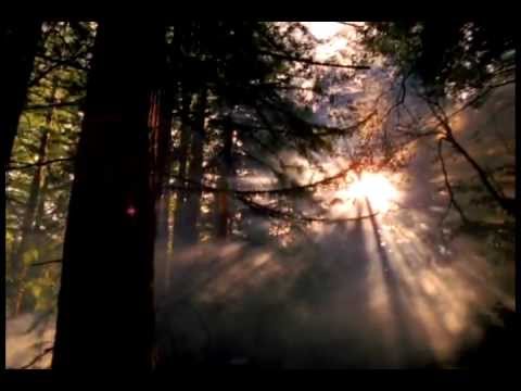 Dilson Castro - Te Vejo