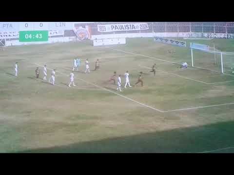 Paulista 1 X 1 Linense - Melhores Momentos & Gols - Campeonato Paulista SÉRIE A3 2020