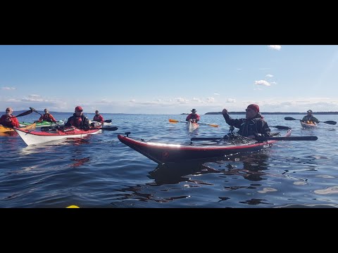 What Kayak Should a Beginner Buy