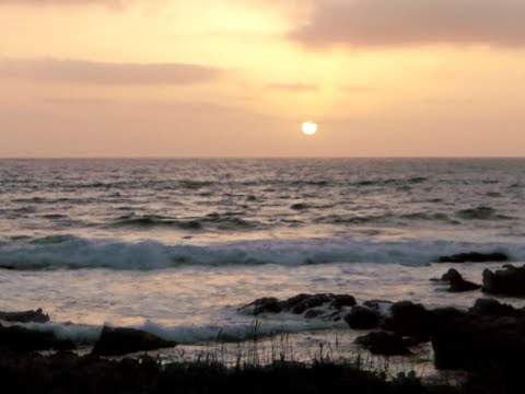 [free] fats'e midwest emo x indie rock type beat "hollywood" (prod. cobalt)