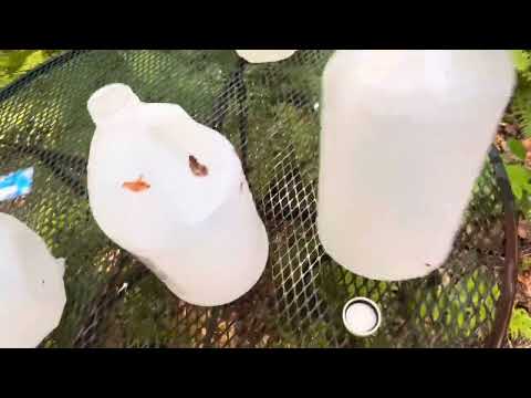 INSANE AMMO!! 45-70 Hornady LeverEvolution 250gr Monoflex Ammo Test