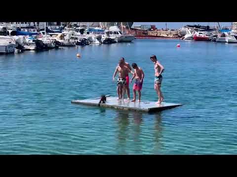 Dodgy Otter Harasses Young Lads in Cape Town