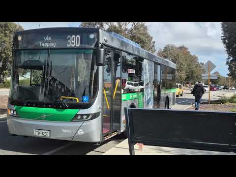 Transperth TP3237 Volvo B8RLE voith 
