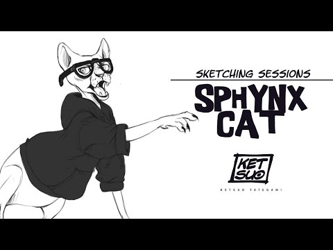 Sketchbook Pro::Drawing from reference-Sphynx Cat