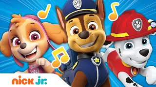 PAW Patrol Theme Song  Nick Jr  Music